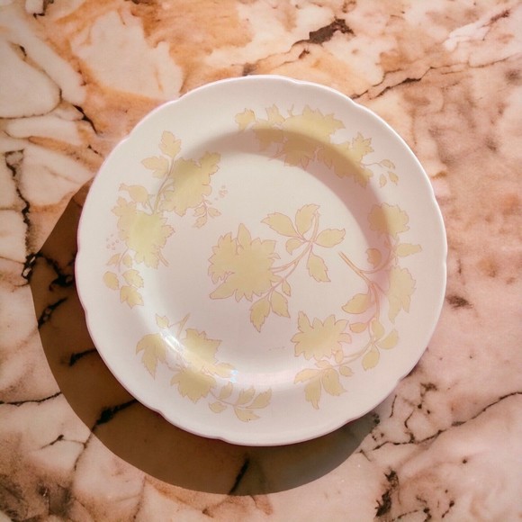 Rare Vtg Wedgwood Bone China Set of 2 11” Dinner Plates WW516 Yellow Floral - Picture 2 of 7